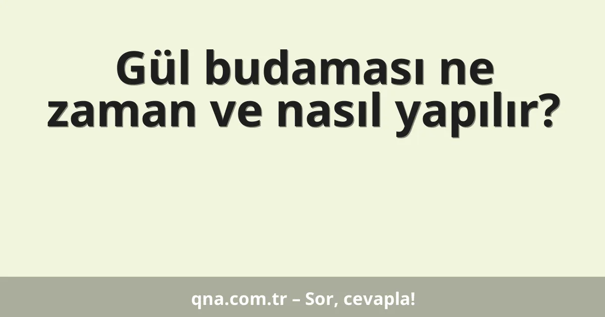 Gül budaması ne zaman ve nasıl yapılır?