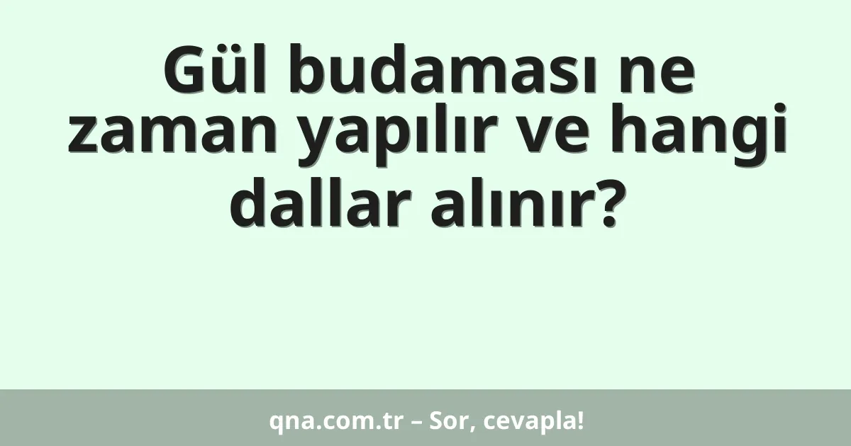 Gül budaması ne zaman yapılır ve hangi dallar alınır?