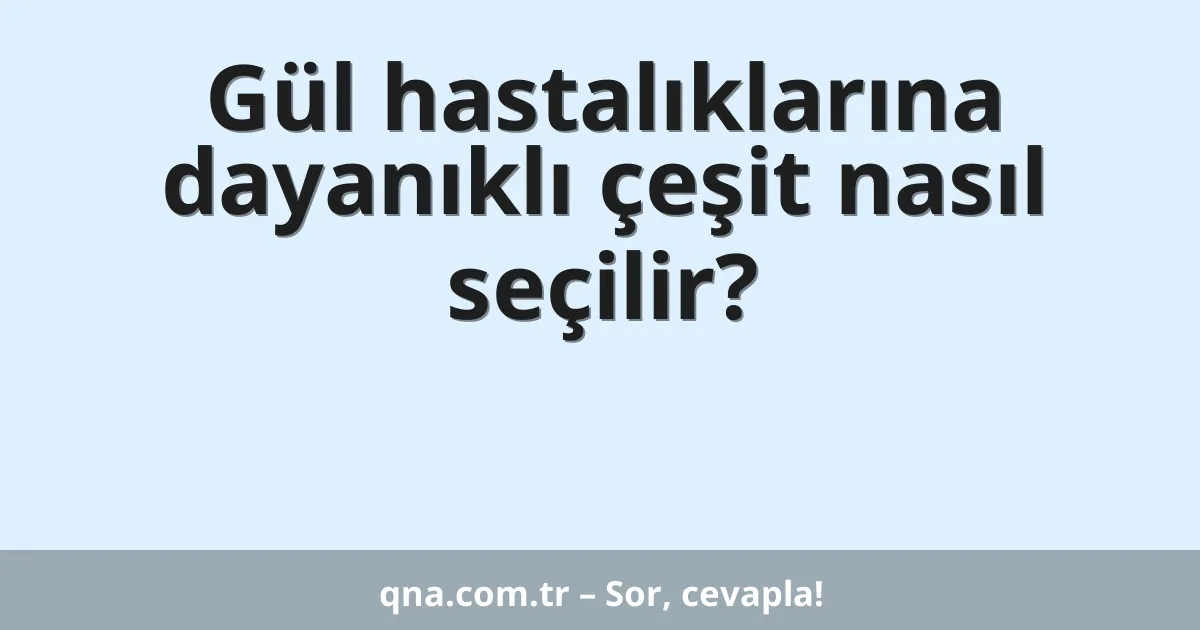 Gül hastalıklarına dayanıklı çeşit nasıl seçilir?