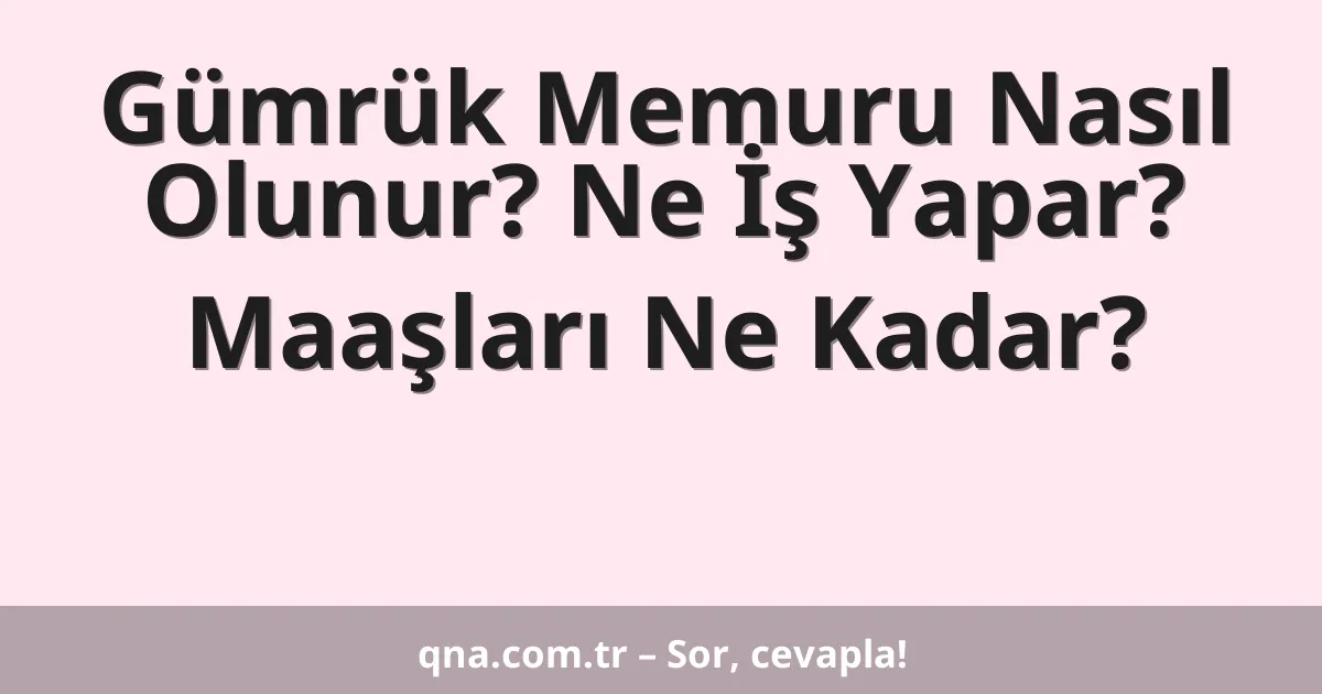 Gümrük Memuru Nasıl Olunur? Ne İş Yapar? Maaşları Ne Kadar?