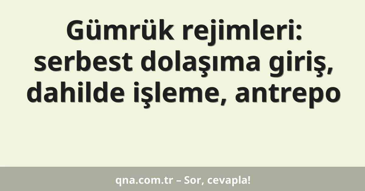 Gümrük rejimleri: serbest dolaşıma giriş, dahilde işleme, antrepo