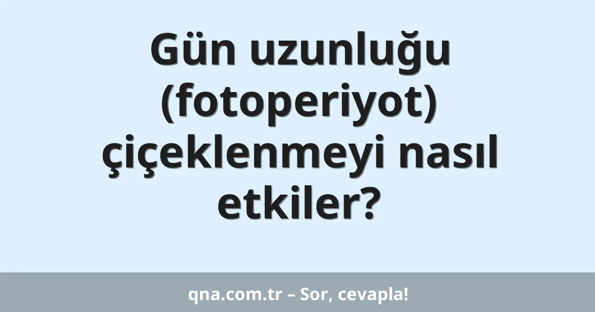 Gün uzunluğu (fotoperiyot) çiçeklenmeyi nasıl etkiler?