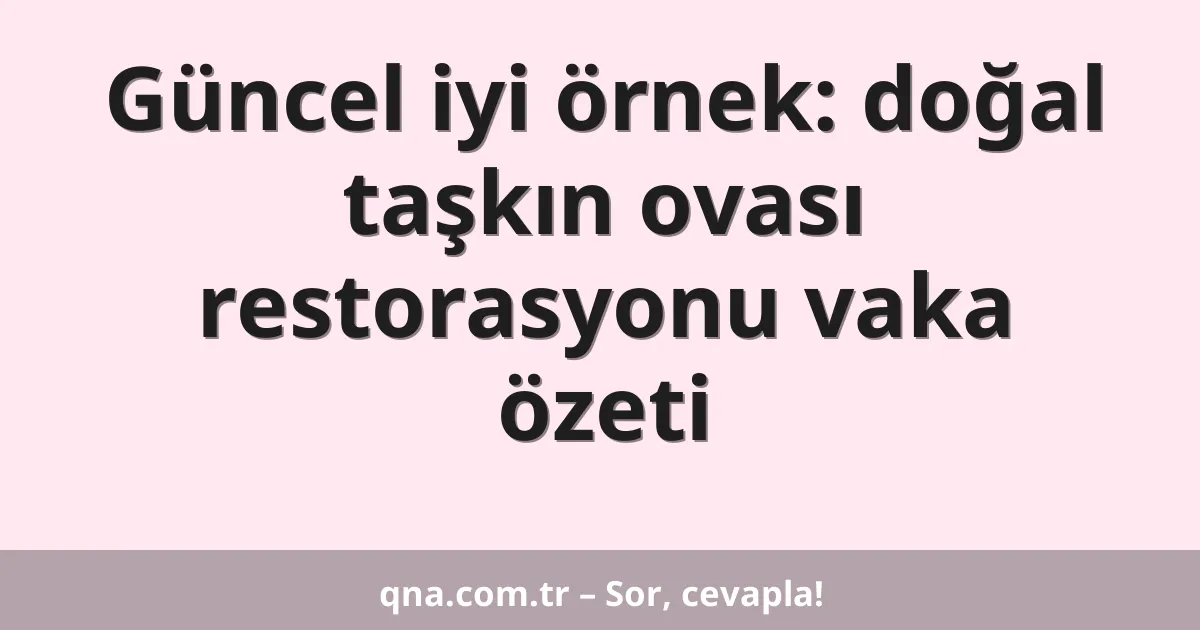 Güncel iyi örnek: doğal taşkın ovası restorasyonu vaka özeti