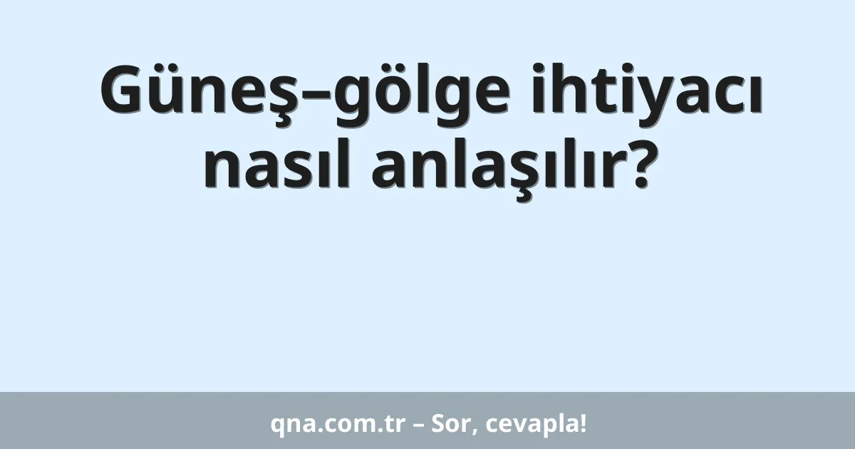 Güneş–gölge ihtiyacı nasıl anlaşılır?