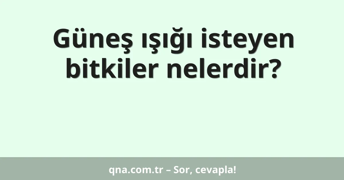 Güneş ışığı isteyen bitkiler nelerdir?