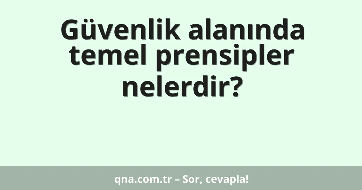 Güvenlik alanında temel prensipler nelerdir?