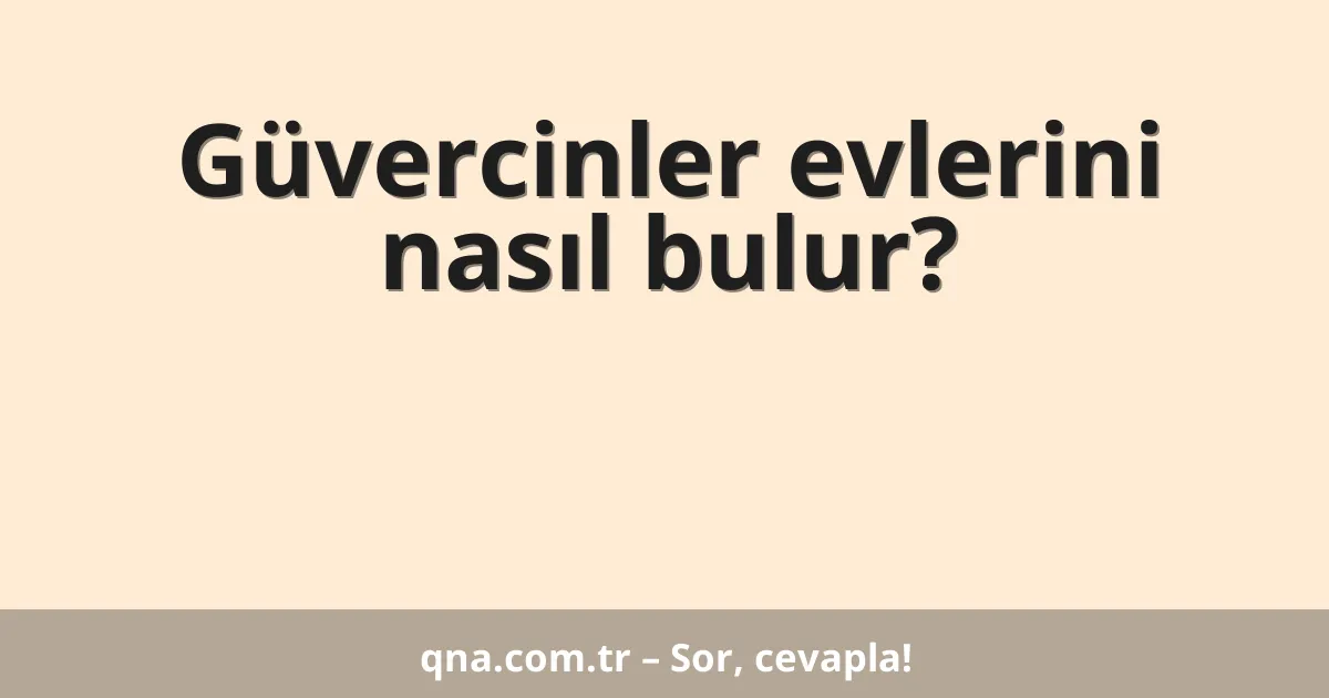 Güvercinler evlerini nasıl bulur?