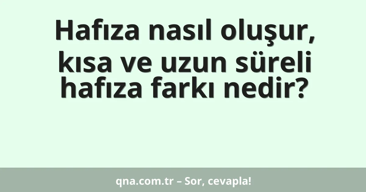 Hafıza nasıl oluşur, kısa ve uzun süreli hafıza farkı nedir?