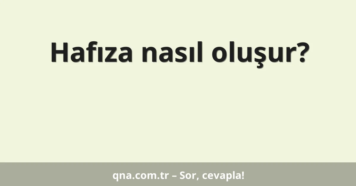 Hafıza nasıl oluşur?