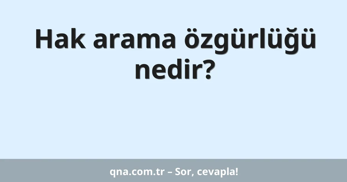 Hak arama özgürlüğü nedir?
