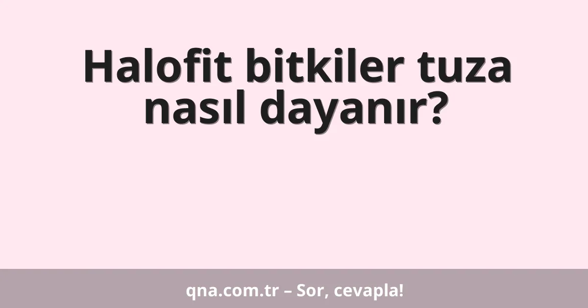 Halofit bitkiler tuza nasıl dayanır?