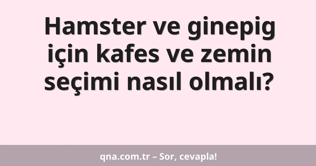Hamster ve ginepig için kafes ve zemin seçimi nasıl olmalı?