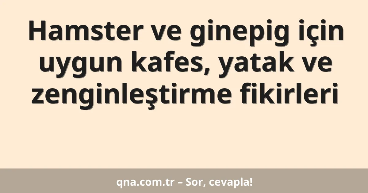 Hamster ve ginepig için uygun kafes, yatak ve zenginleştirme fikirleri