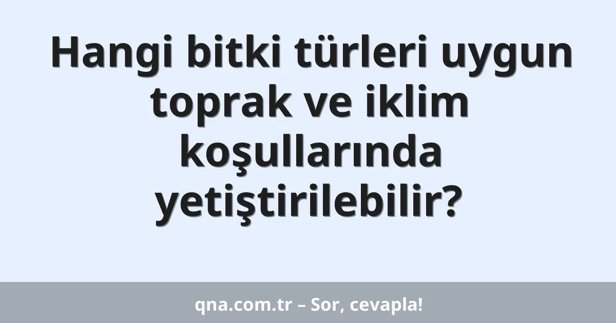 Hangi bitki türleri uygun toprak ve iklim koşullarında yetiştirilebilir?