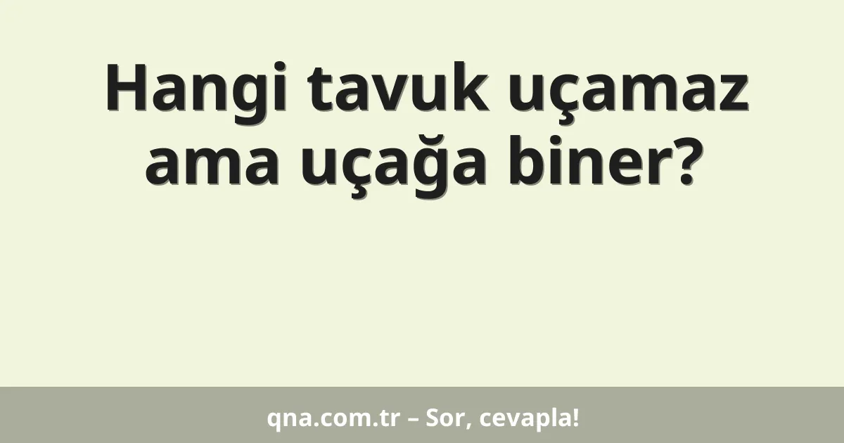 Hangi tavuk uçamaz ama uçağa biner?
