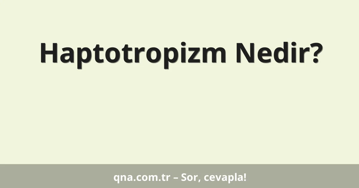 Haptotropizm Nedir?