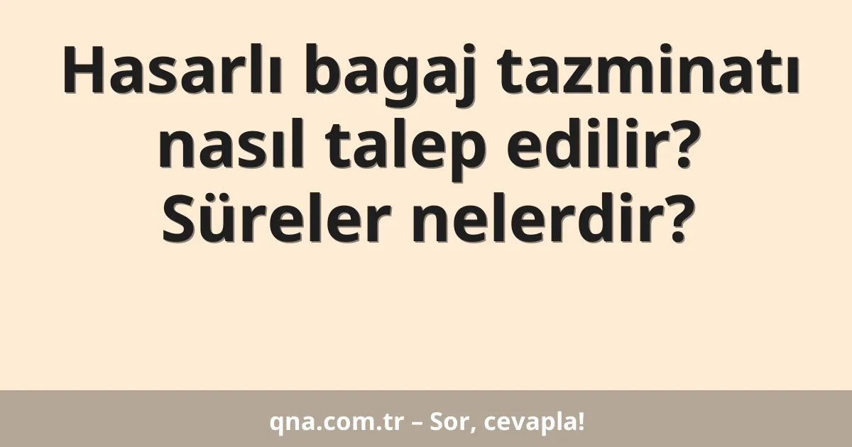 Hasarlı bagaj tazminatı nasıl talep edilir? Süreler nelerdir?