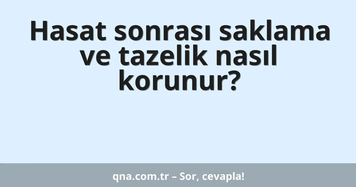 Hasat sonrası saklama ve tazelik nasıl korunur?