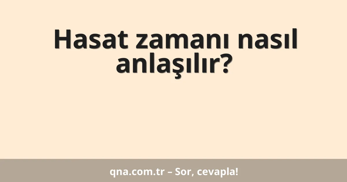 Hasat zamanı nasıl anlaşılır?