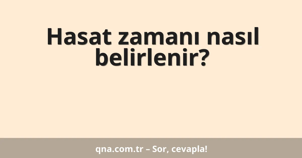 Hasat zamanı nasıl belirlenir?