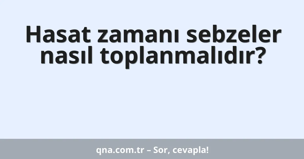 Hasat zamanı sebzeler nasıl toplanmalıdır?