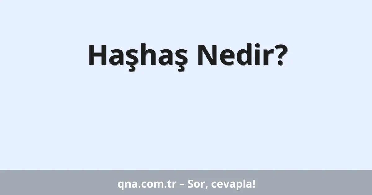 Haşhaş Nedir?