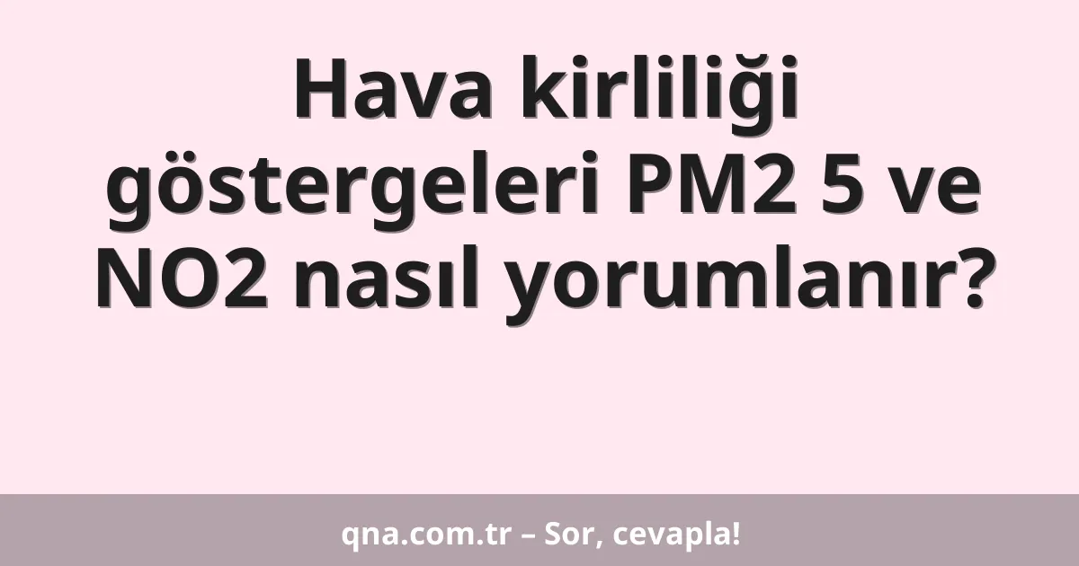 Hava kirliliği göstergeleri PM2 5 ve NO2 nasıl yorumlanır?