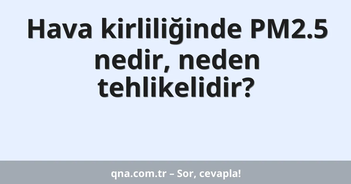 Hava kirliliğinde PM2.5 nedir, neden tehlikelidir?