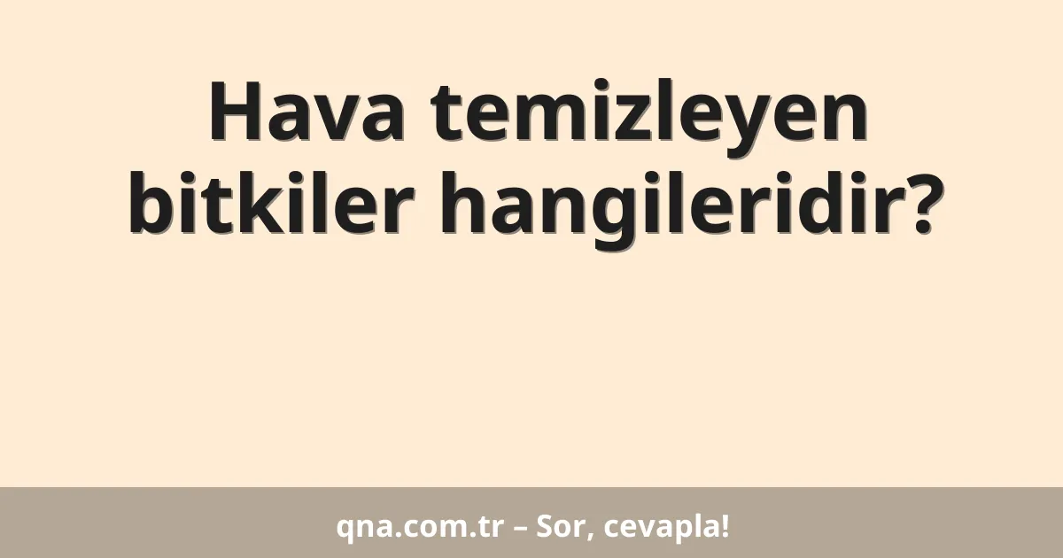 Hava temizleyen bitkiler hangileridir?