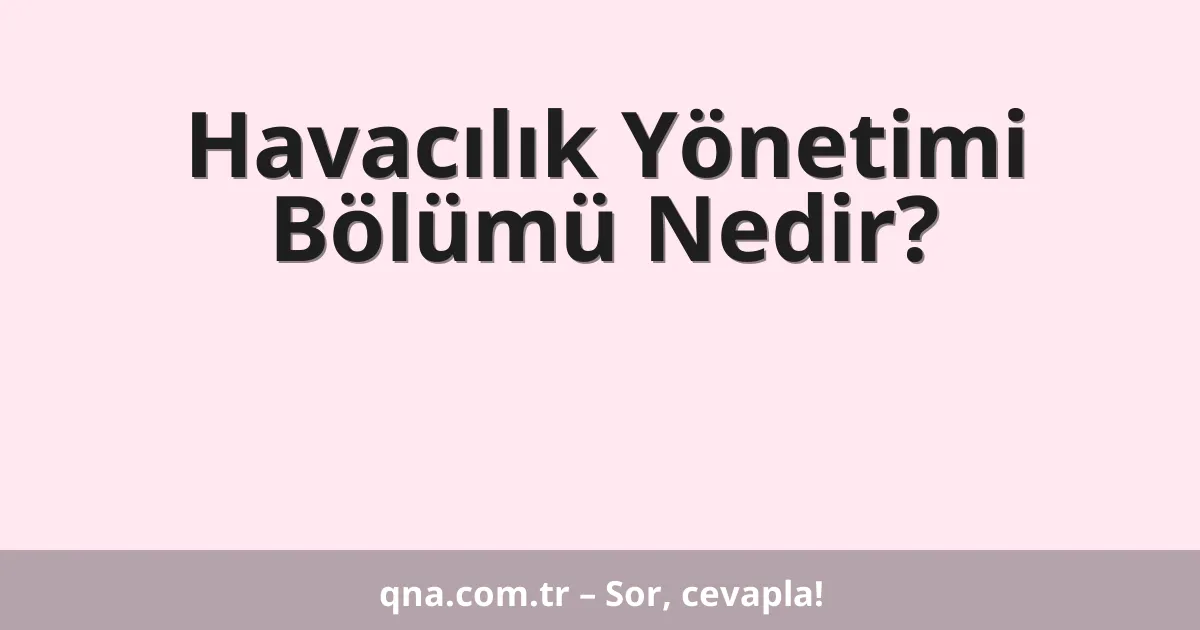 Havacılık Yönetimi Bölümü Nedir?