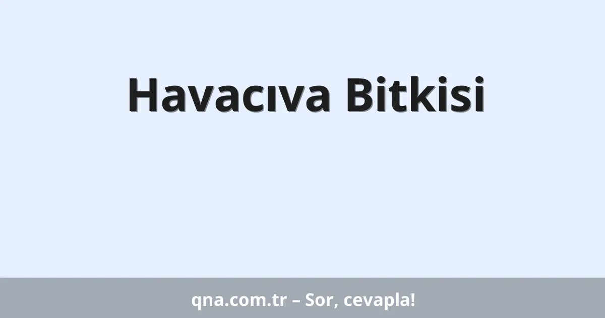 Havacıva Bitkisi