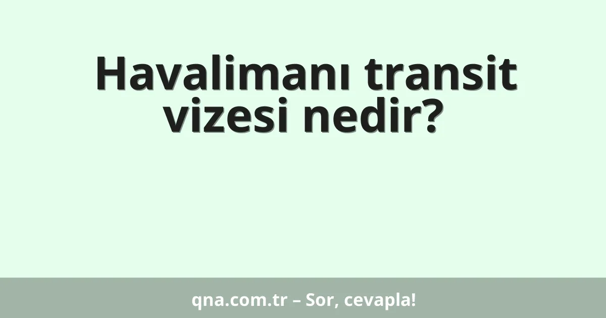 Havalimanı transit vizesi nedir?