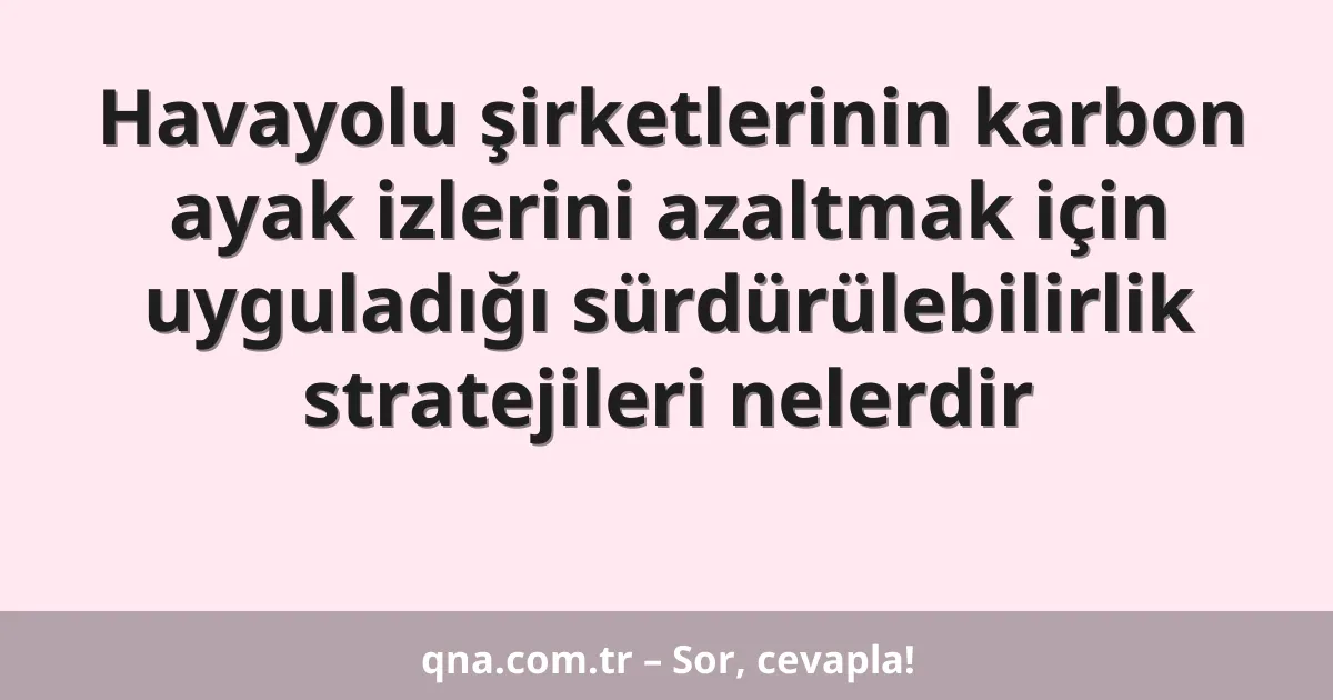 Havayolu şirketlerinin karbon ayak izlerini azaltmak için uyguladığı sürdürülebilirlik stratejileri nelerdir