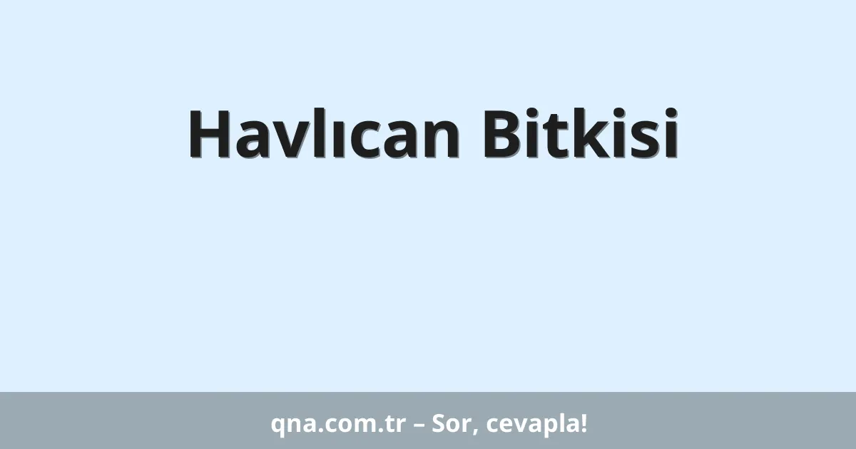 Havlıcan Bitkisi