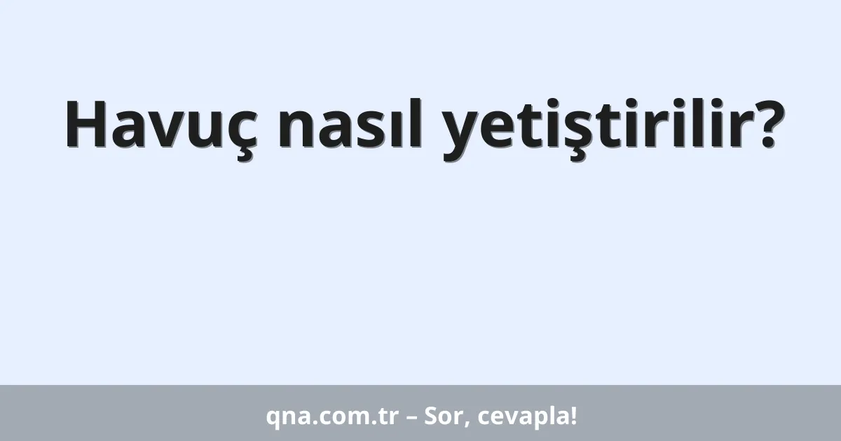 Havuç nasıl yetiştirilir?