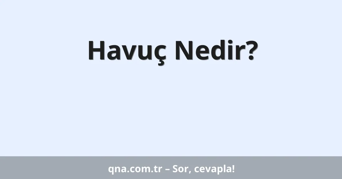 Havuç Nedir?