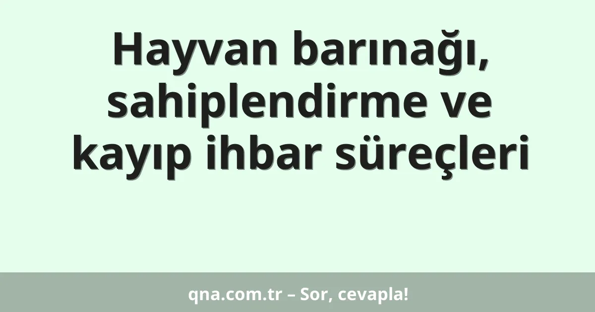 Hayvan barınağı, sahiplendirme ve kayıp ihbar süreçleri