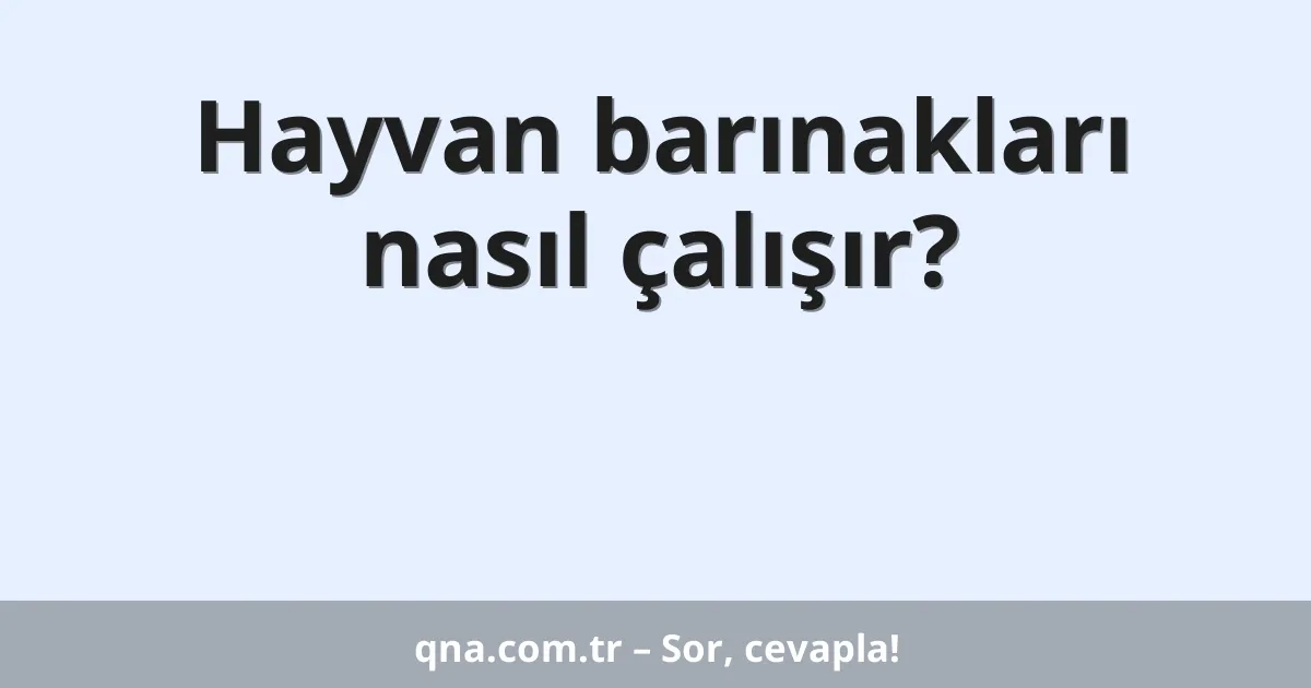 Hayvan barınakları nasıl çalışır?