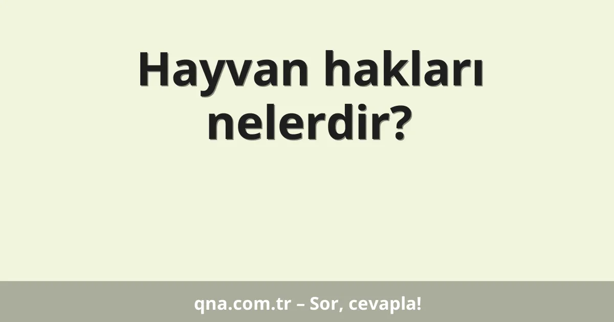 Hayvan hakları nelerdir?