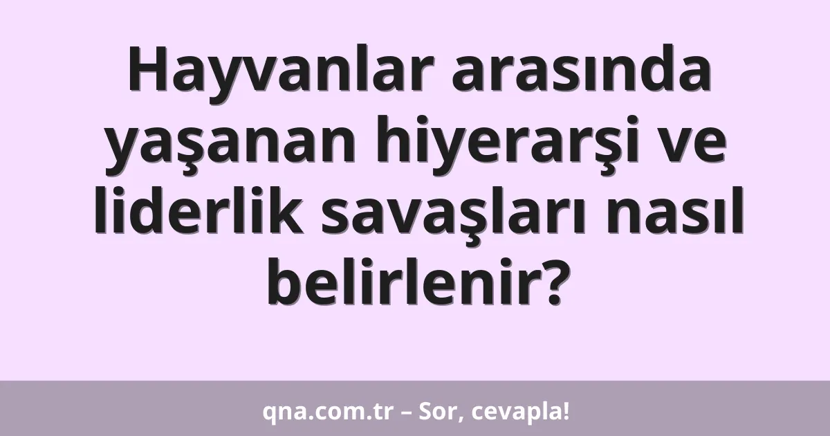 Hayvanlar arasında yaşanan hiyerarşi ve liderlik savaşları nasıl belirlenir?