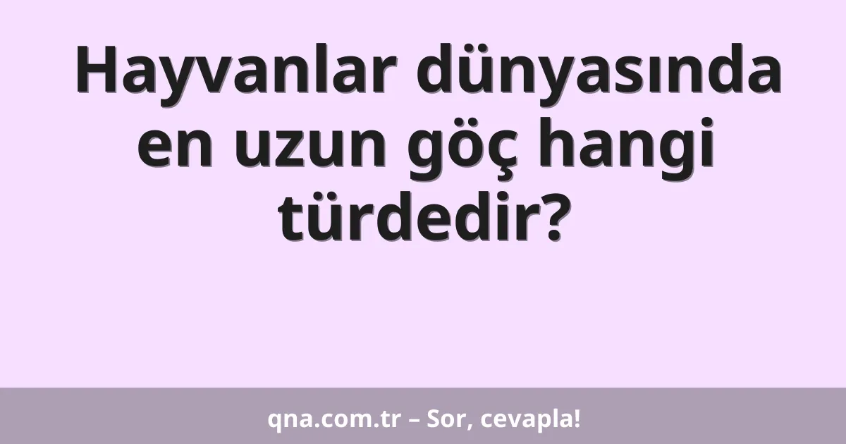 Hayvanlar dünyasında en uzun göç hangi türdedir?