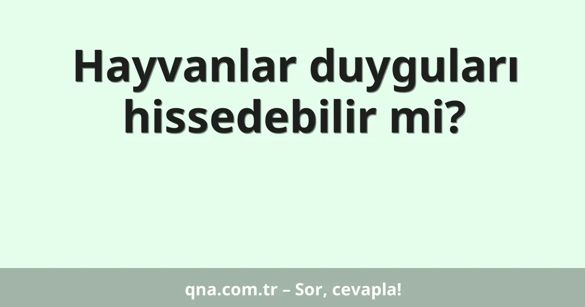 Hayvanlar duyguları hissedebilir mi?