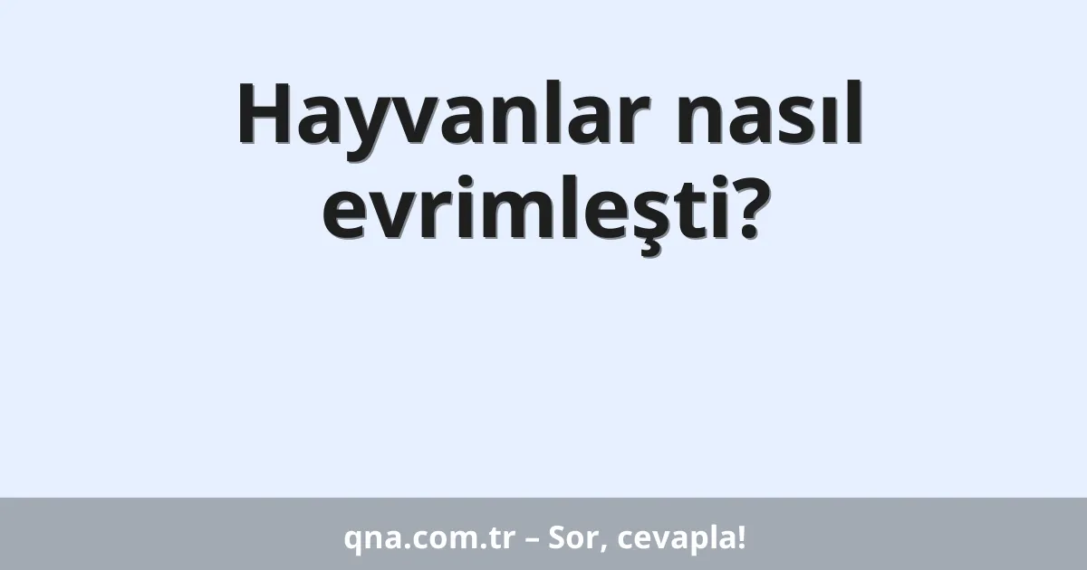 Hayvanlar nasıl evrimleşti?