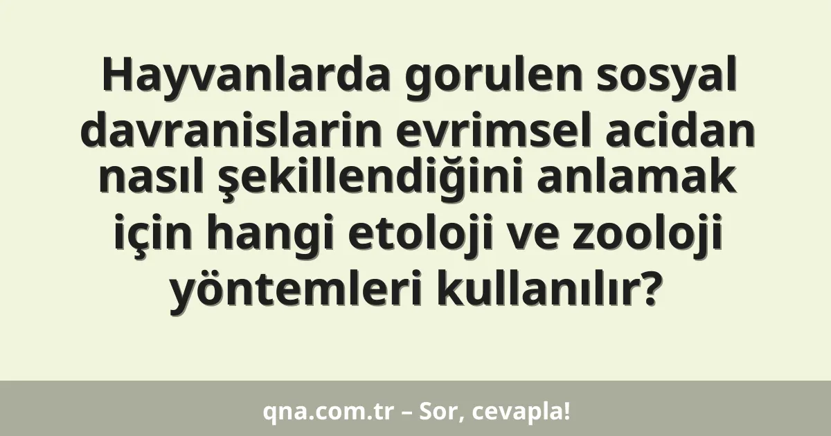 Hayvanlarda gorulen sosyal davranislarin evrimsel acidan nasıl şekillendiğini anlamak için hangi etoloji ve zooloji yöntemleri kullanılır?