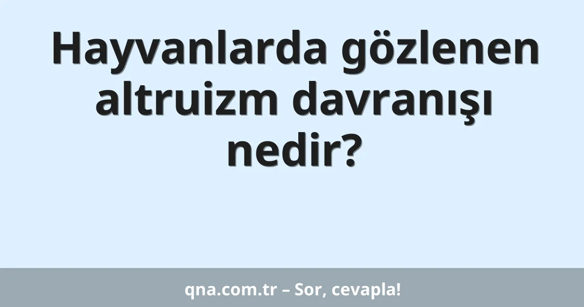 Hayvanlarda gözlenen altruizm davranışı nedir?