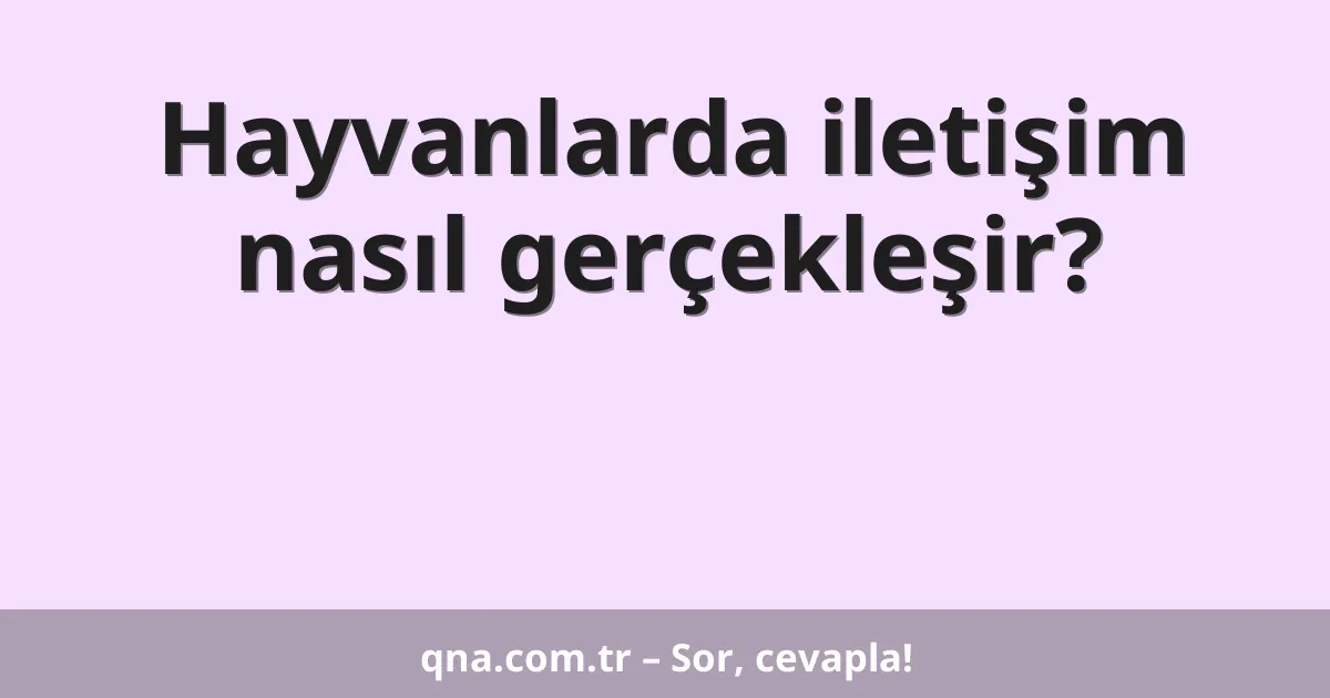 Hayvanlarda iletişim nasıl gerçekleşir?