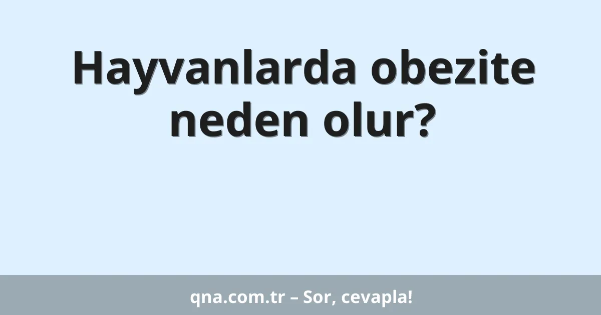 Hayvanlarda obezite neden olur?