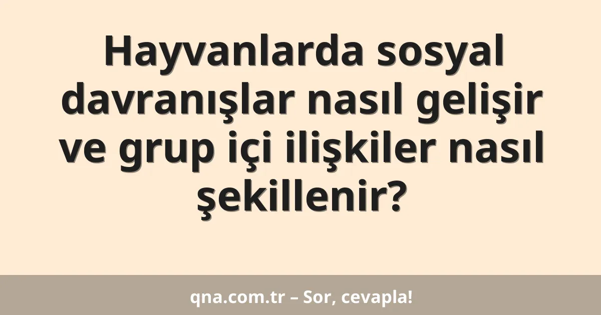 Hayvanlarda sosyal davranışlar nasıl gelişir ve grup içi ilişkiler nasıl şekillenir?