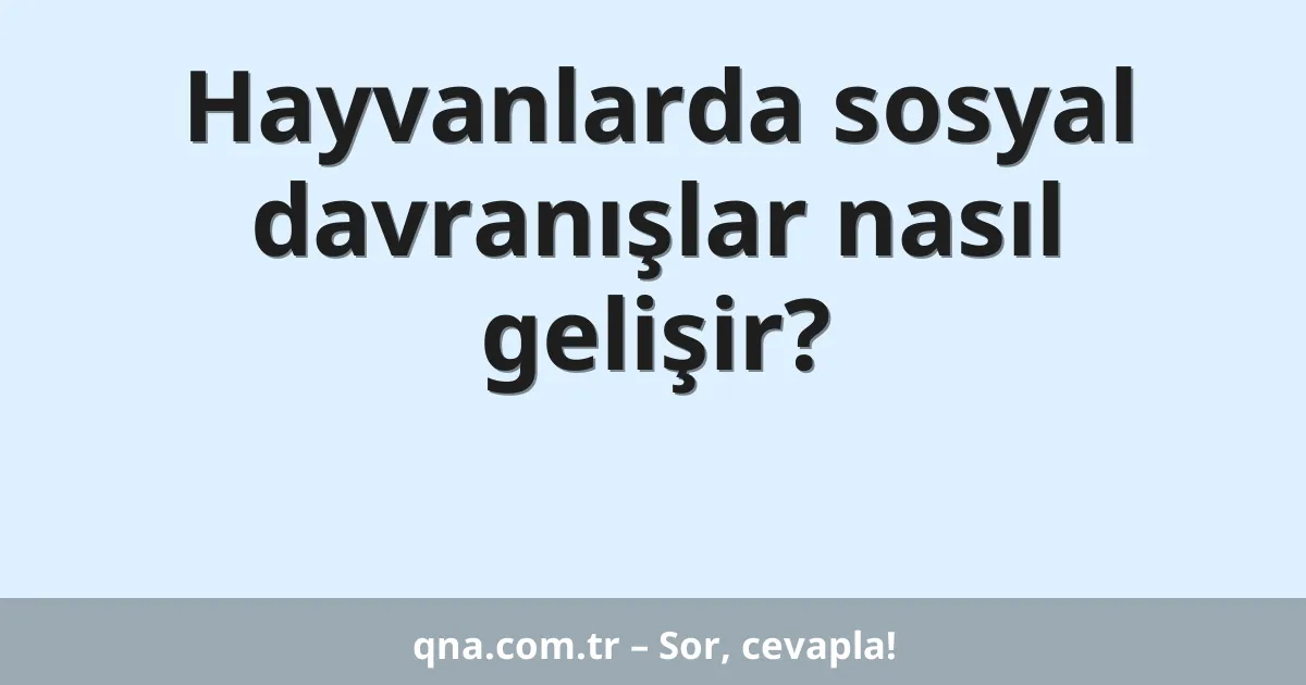 Hayvanlarda sosyal davranışlar nasıl gelişir?