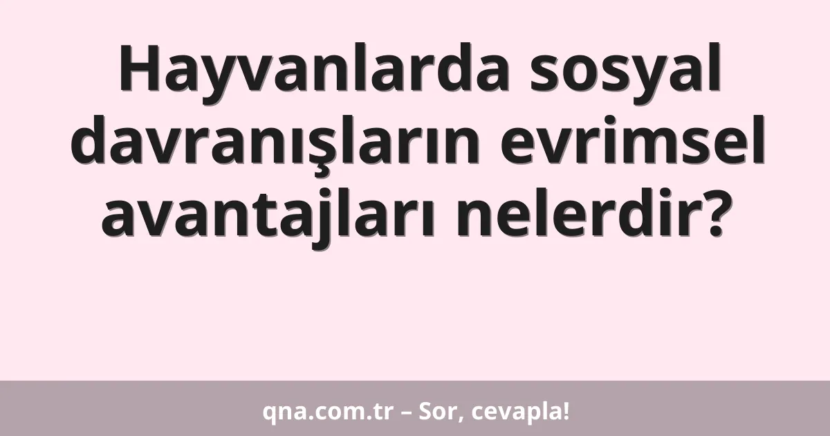 Hayvanlarda sosyal davranışların evrimsel avantajları nelerdir?